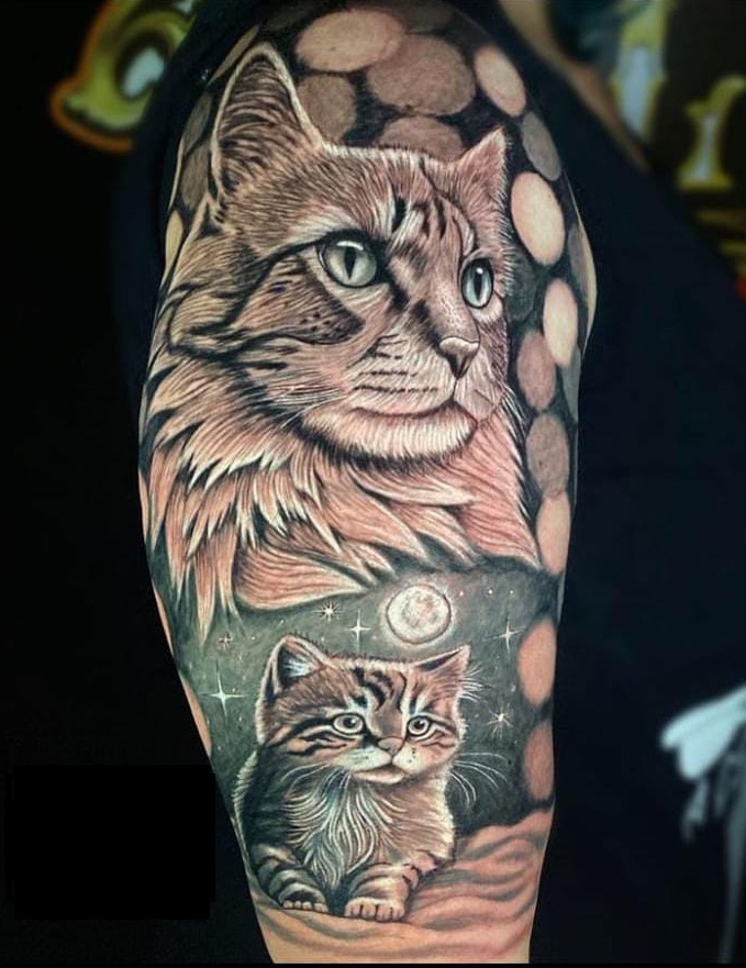 Tatuagem Realista de gato.